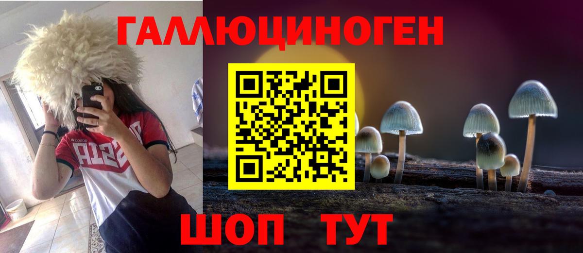 Галлюциногенные грибы Magic Shrooms  Вход с VPN  Туапсе  Псилоцибиновые грибы Psilocybe 